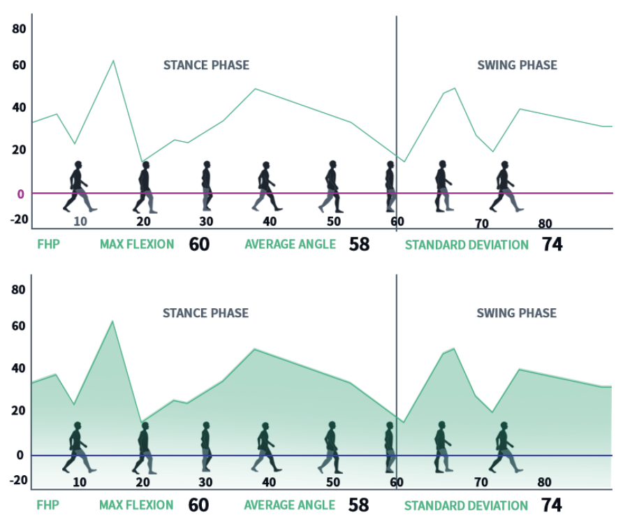 Gait Analysis Training Gait Fit 2