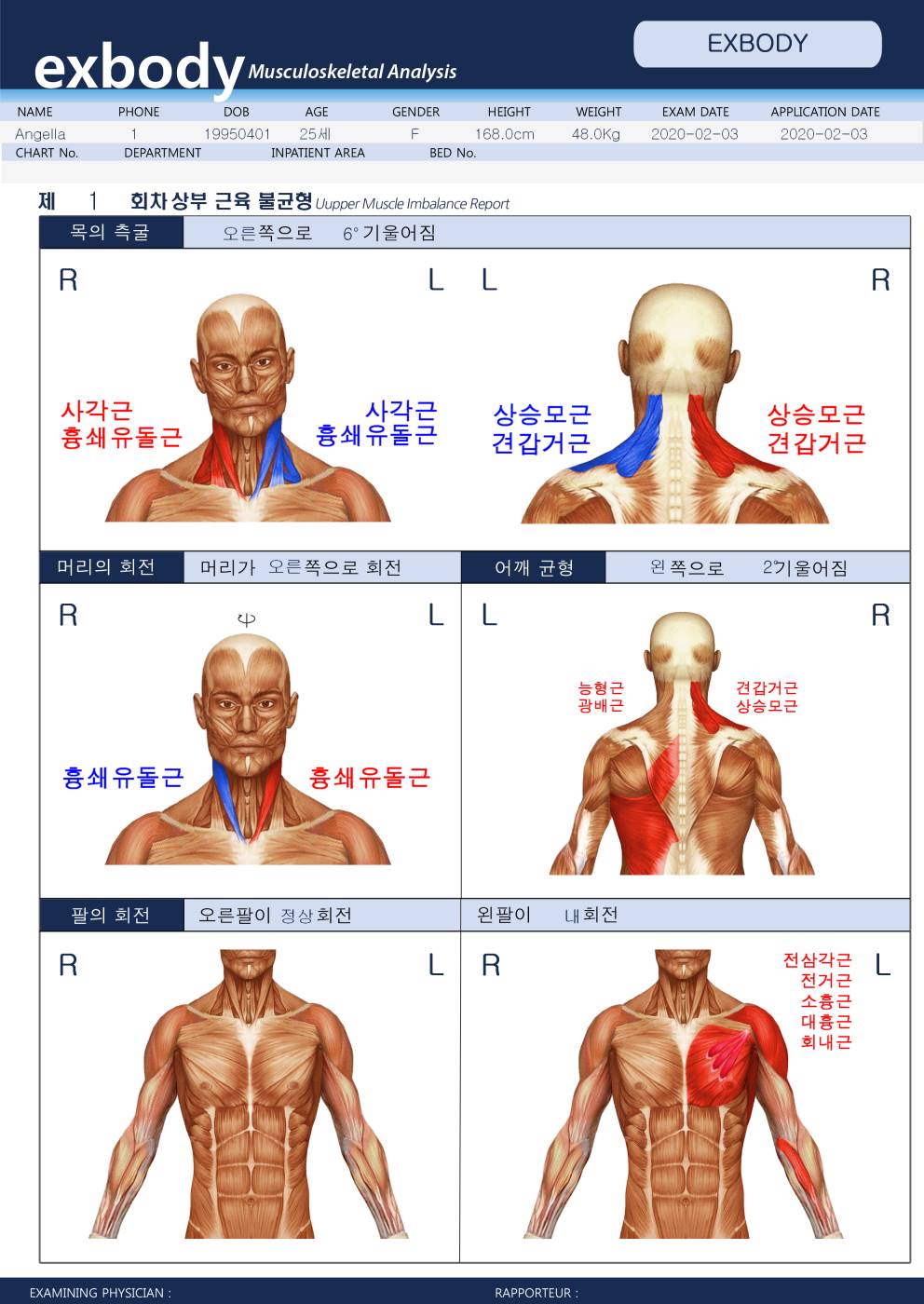 엑스바디 근골격 종합검진 시스템 9100 리포트3