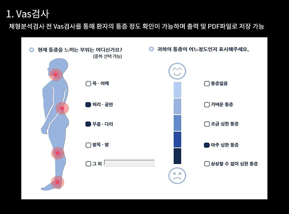 엑스바디 실손 삭감 예방 VAS 스코어링