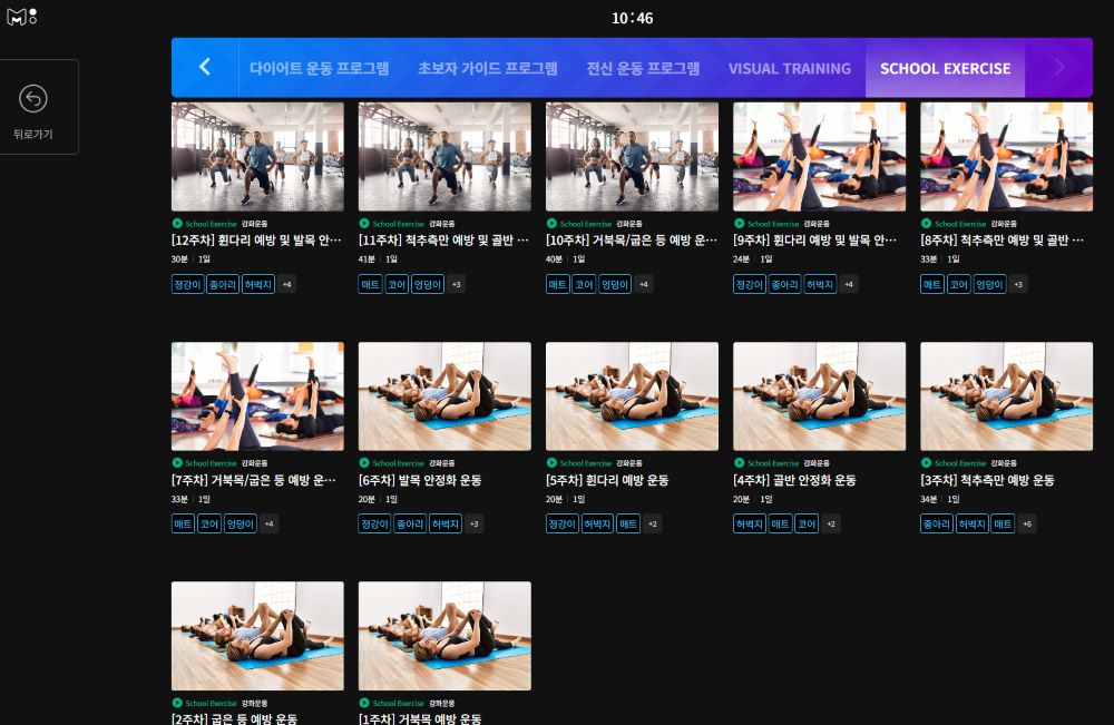 엑스바디 메타짐
